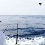 Deep Sea Offshore Kite Fishing Charters in Venice Louisiana