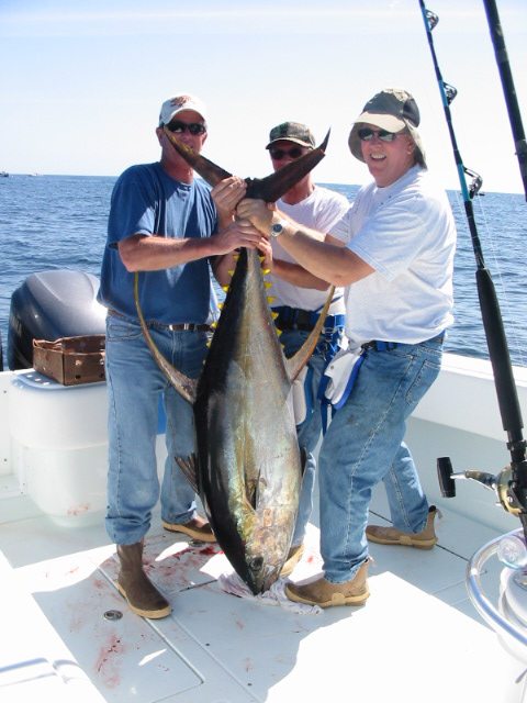 Tuna Fishing