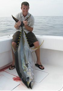 New Tuna Fish