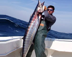 Wahoo Fishing