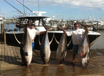 Tuna Fishing Charters Venice LA